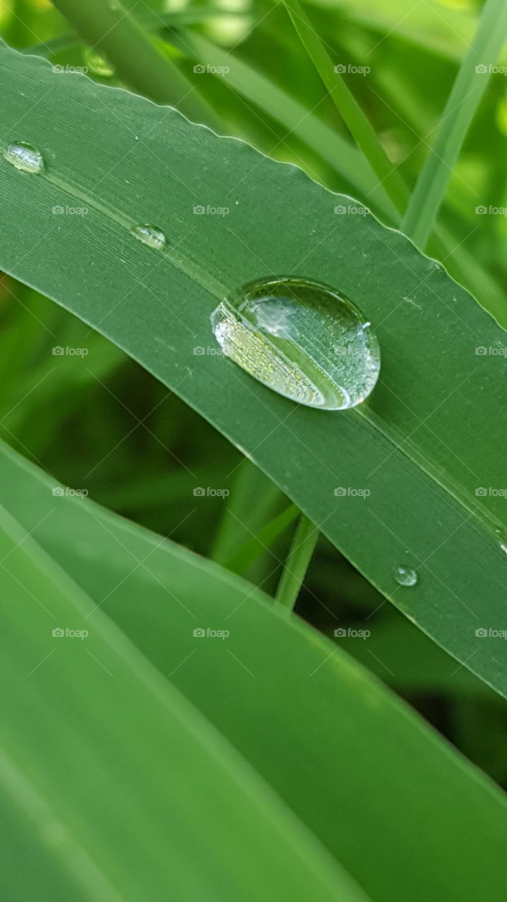 Micro water Drop