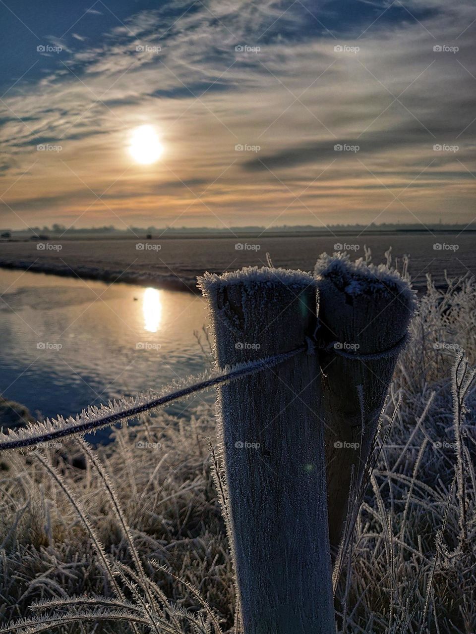 Frozen landscape