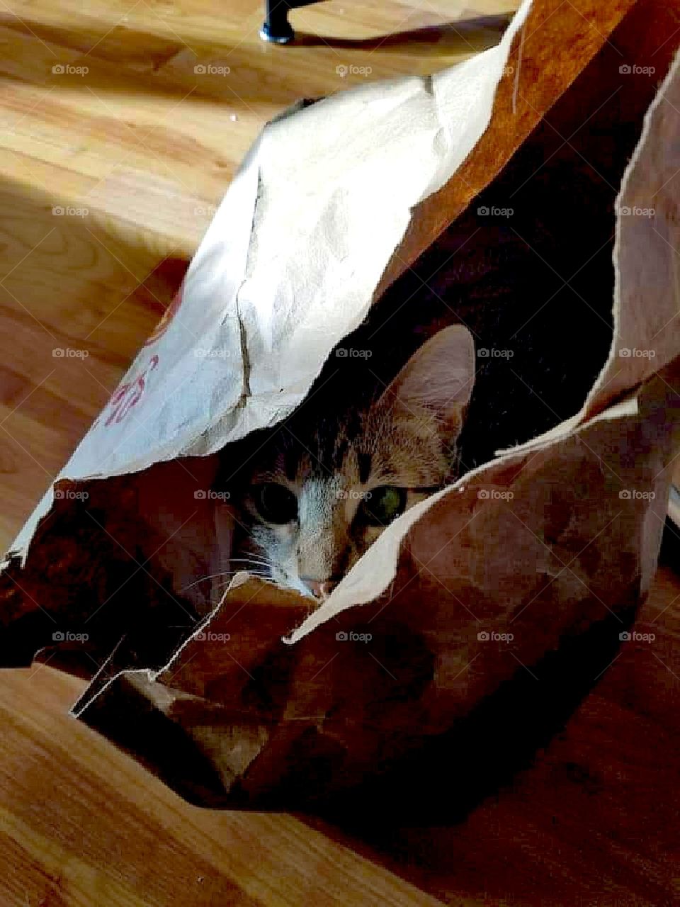 They'll never find me here...