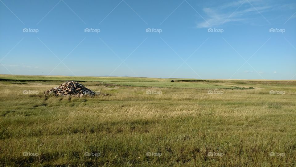 Landscape, No Person, Grassland, Agriculture, Field