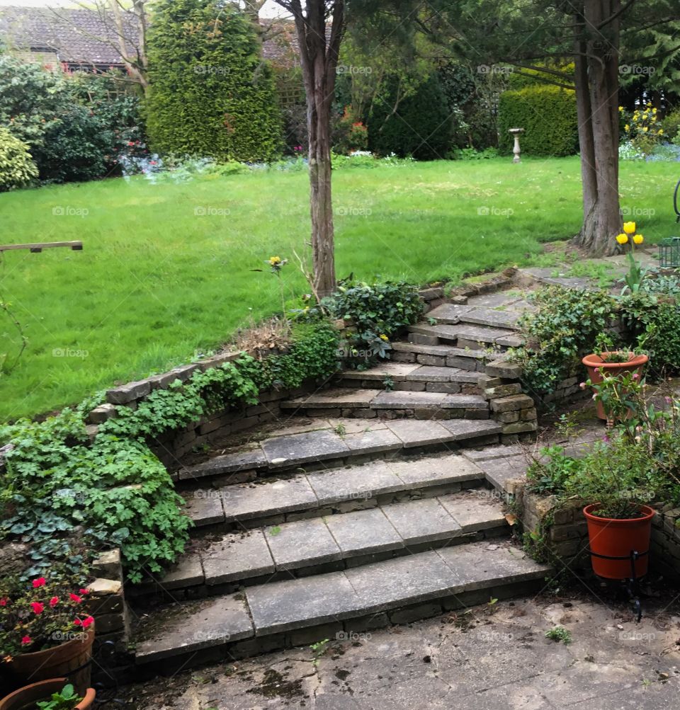 English country garden steps and lawn