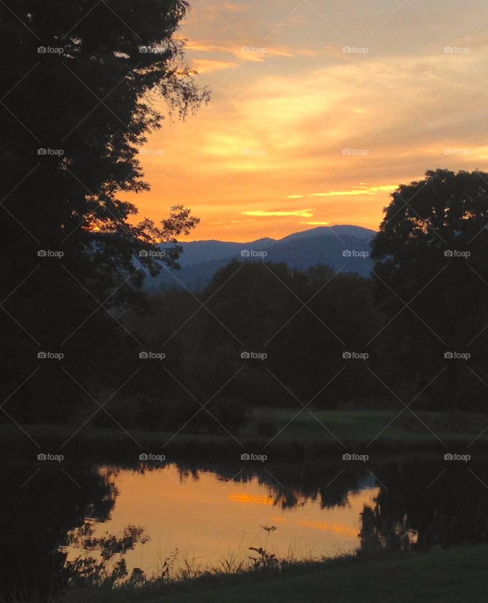 Golden Pond Reflection. An awesome sunset doubled by a pond reflection. 
