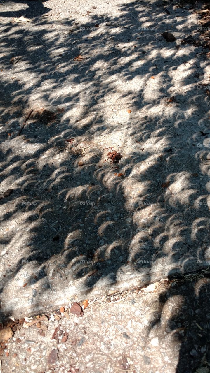 No Person, Desktop, Nature, Texture, Pattern