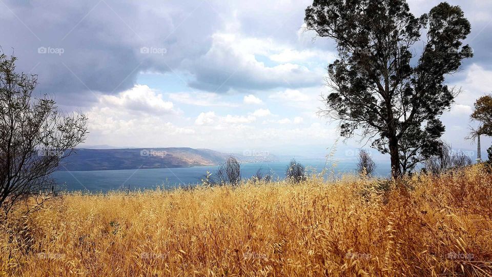 Golden sight of the Galilee