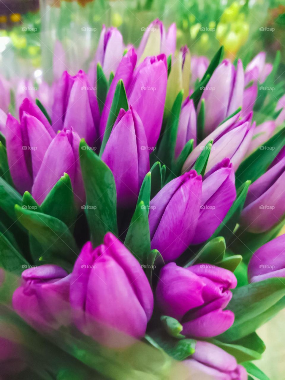 bouquet of flowers