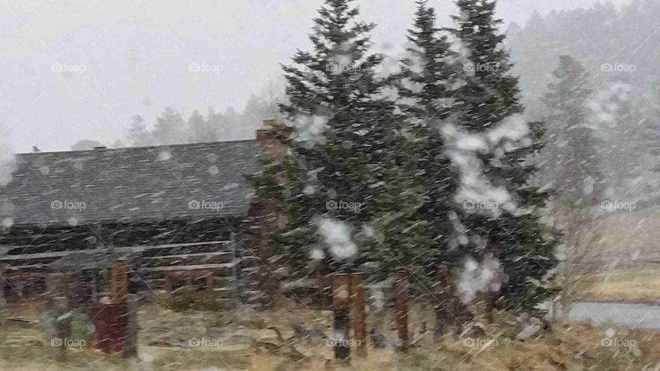 Log cabin in the snow