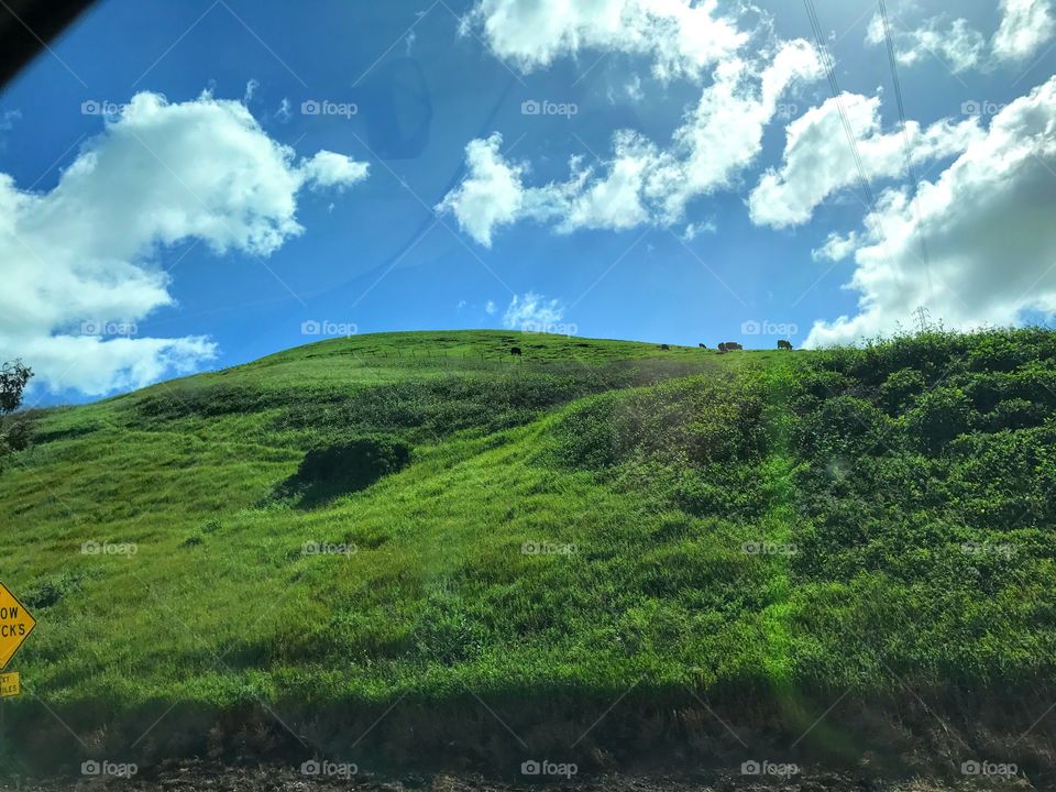 Nice green hill