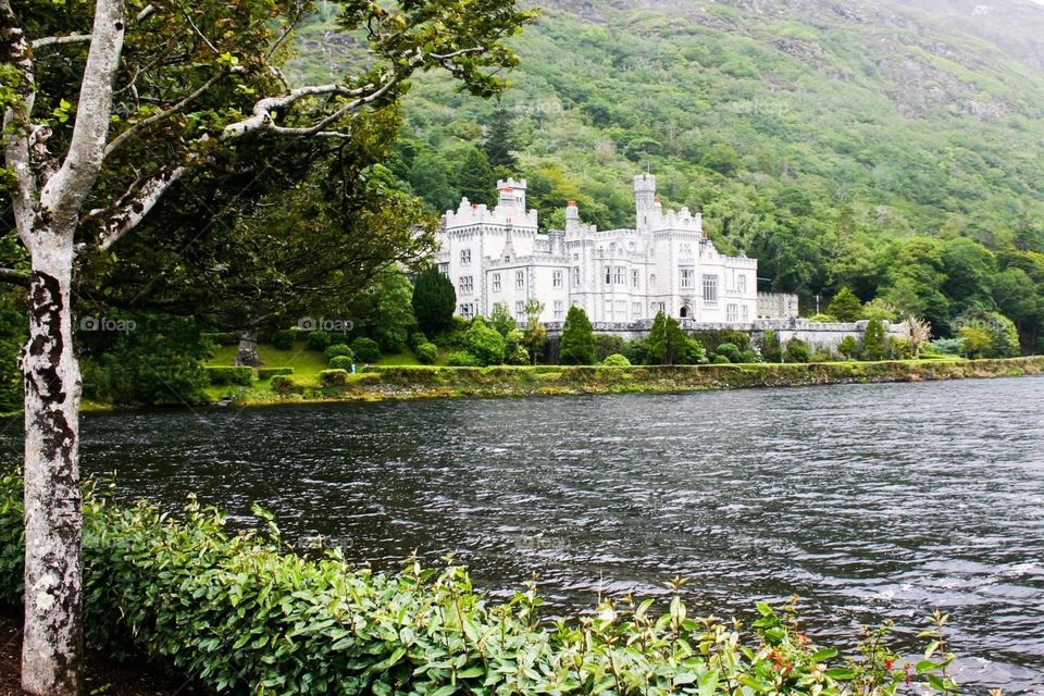 The beauty of white color with the beauty of green nature