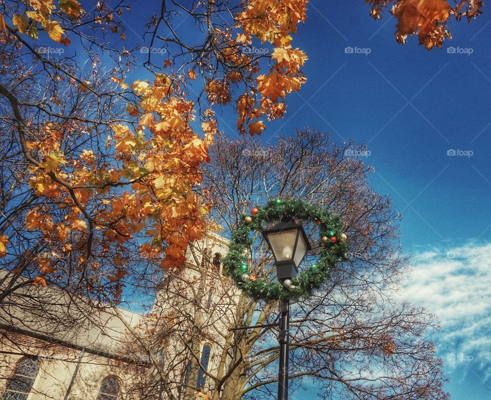 Christmas Wreath