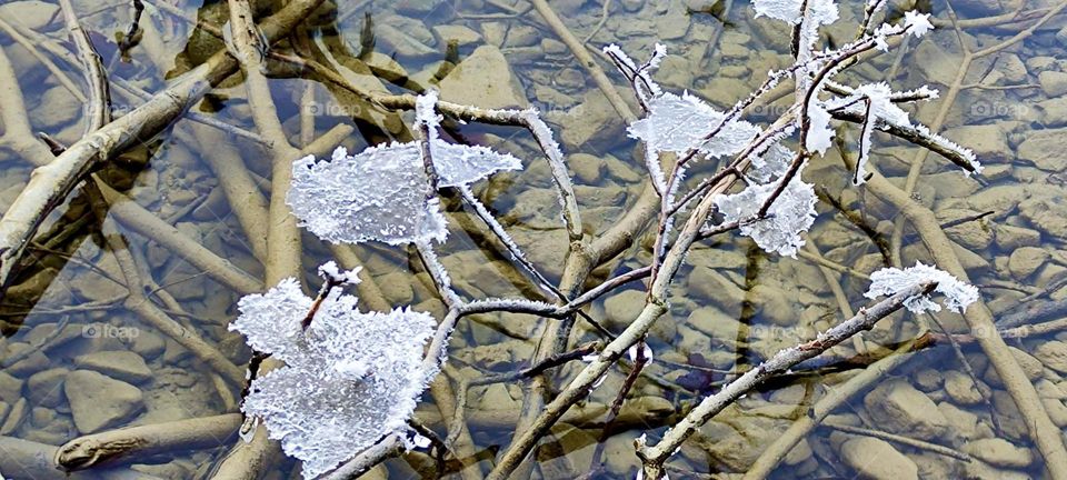 Sheets of melting ice are floating on the surface of the “Kochel See”, the “Kochel Lake” by the small township of “Kochel” north of the “Alps” in “Bavaria”, Germany known for its natural hot geyser springs, spas and saunas. 2024. Hypnotic Productions