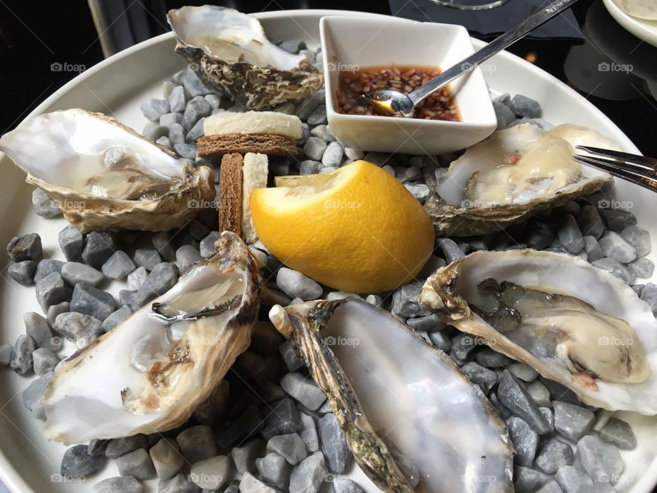 Oysters in Antwerp, Belgium 