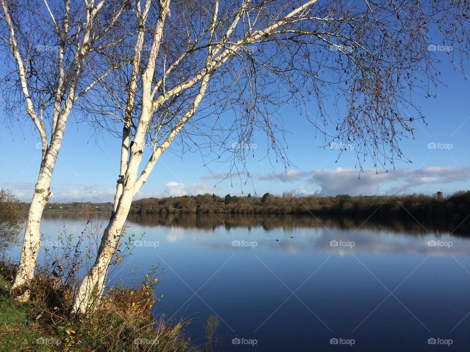 The Best of 2021: Nature 