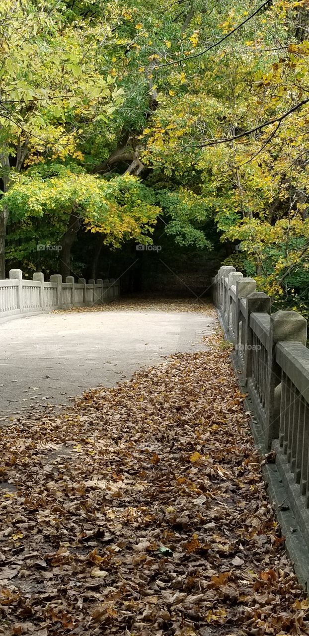 Beautiful day in the park