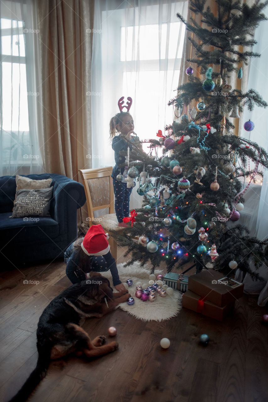 Little sisters with German shepherd puppy near Christmas tree 