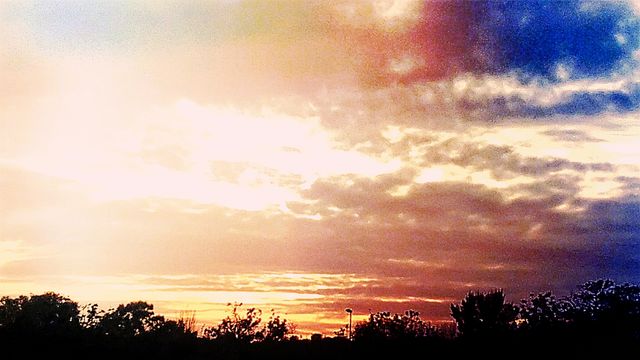saliendo en sol