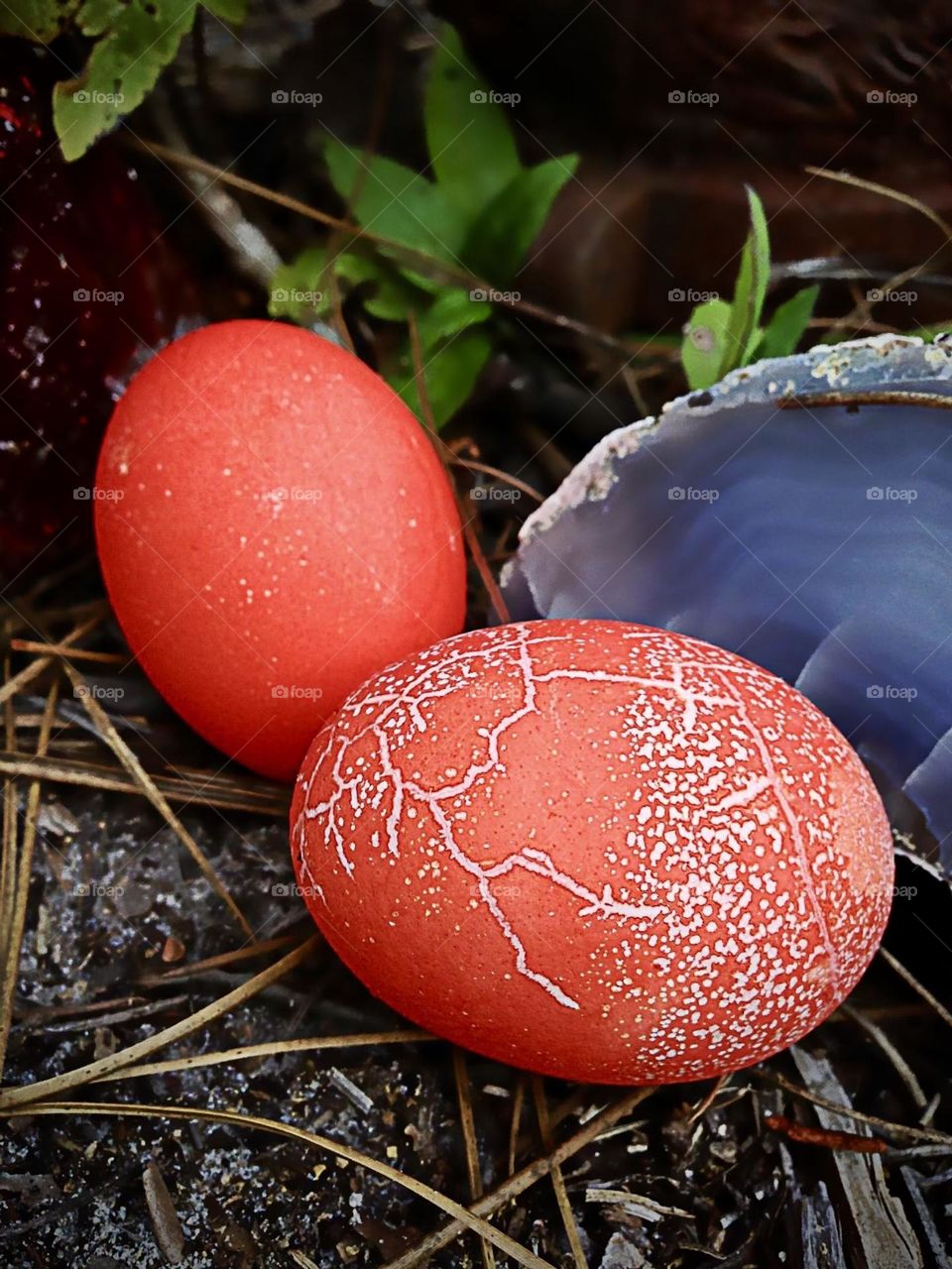 Explosion of color-agates and eggs.