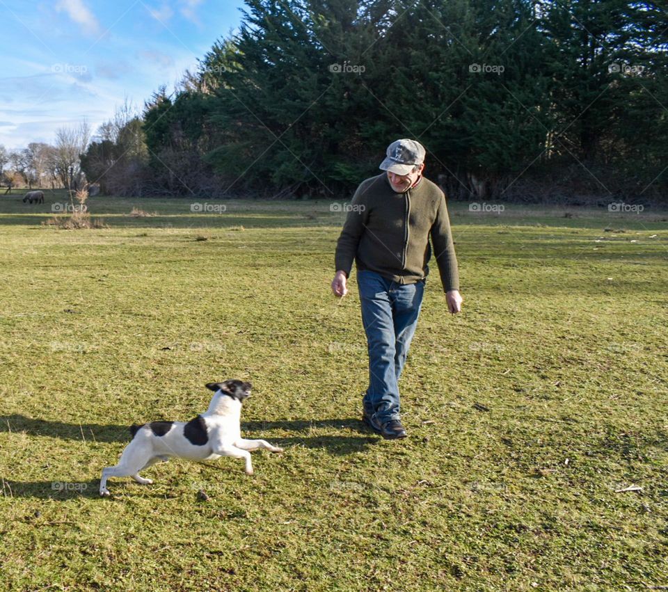 Man happily walking next to his pet, a small fox terrier dog