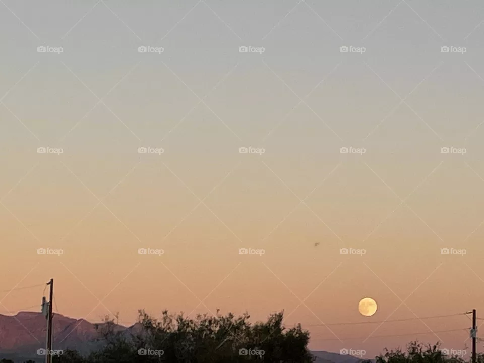 A super moon high above mountains and trees