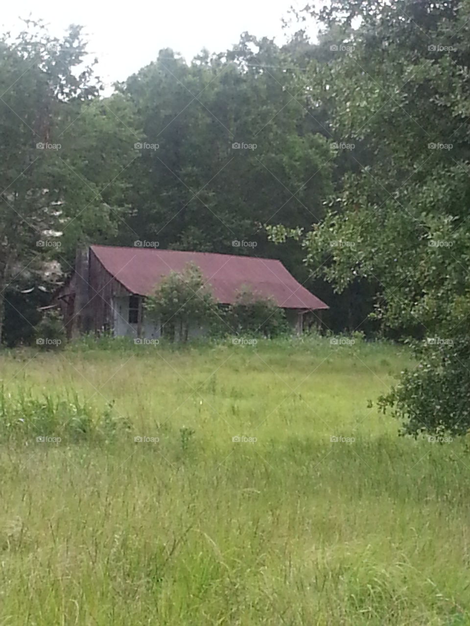 Old homestead. Saw this abandoned home on my way back home from north Louisiana,
