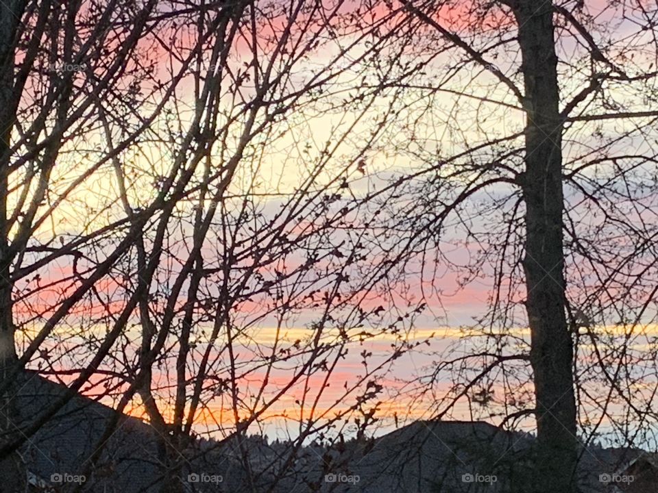 Sunset through the trees. Beautiful colors   