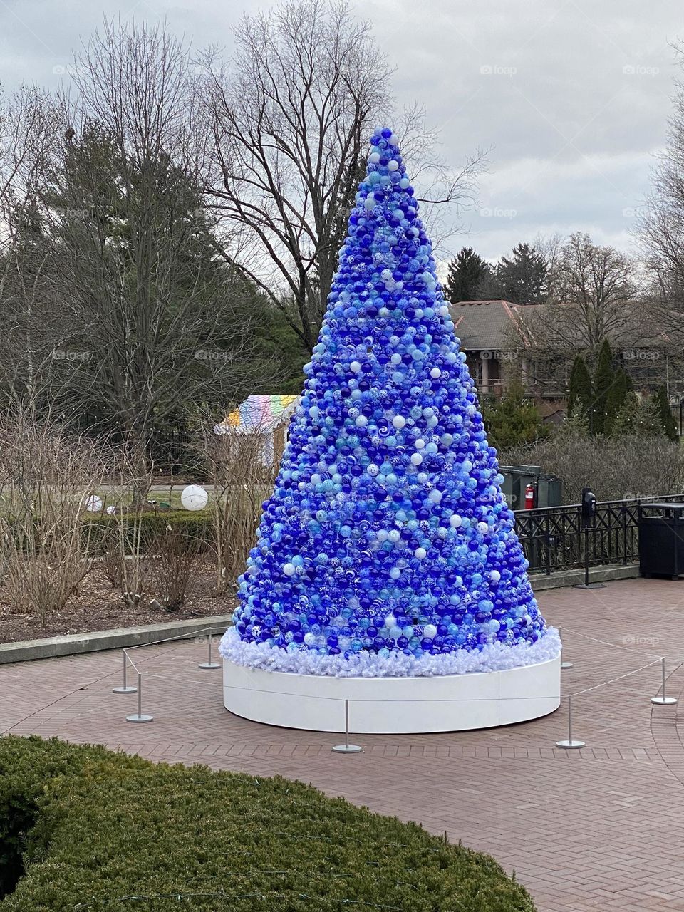Blue outdoor Christmas tree