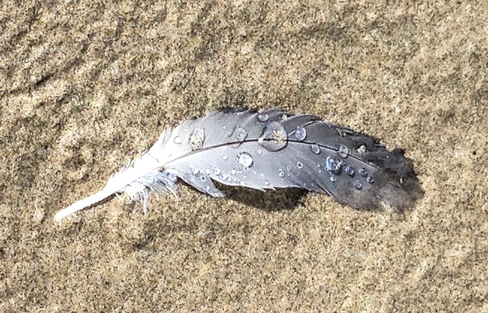 Nature, Sand, Marine, Desktop, No Person