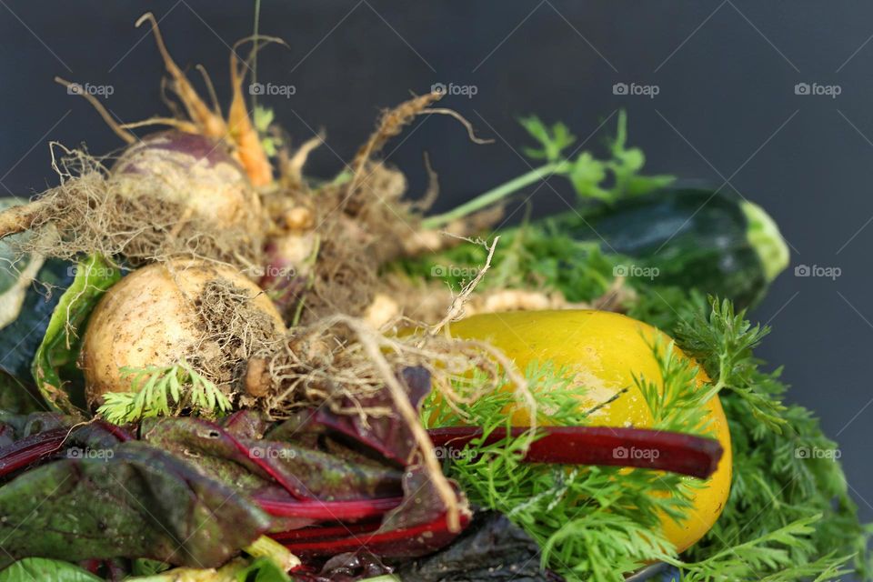 Fall harvest basket.