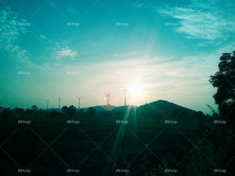 fans
hill
light
nature
sky
sunset
outdoor
blooming.