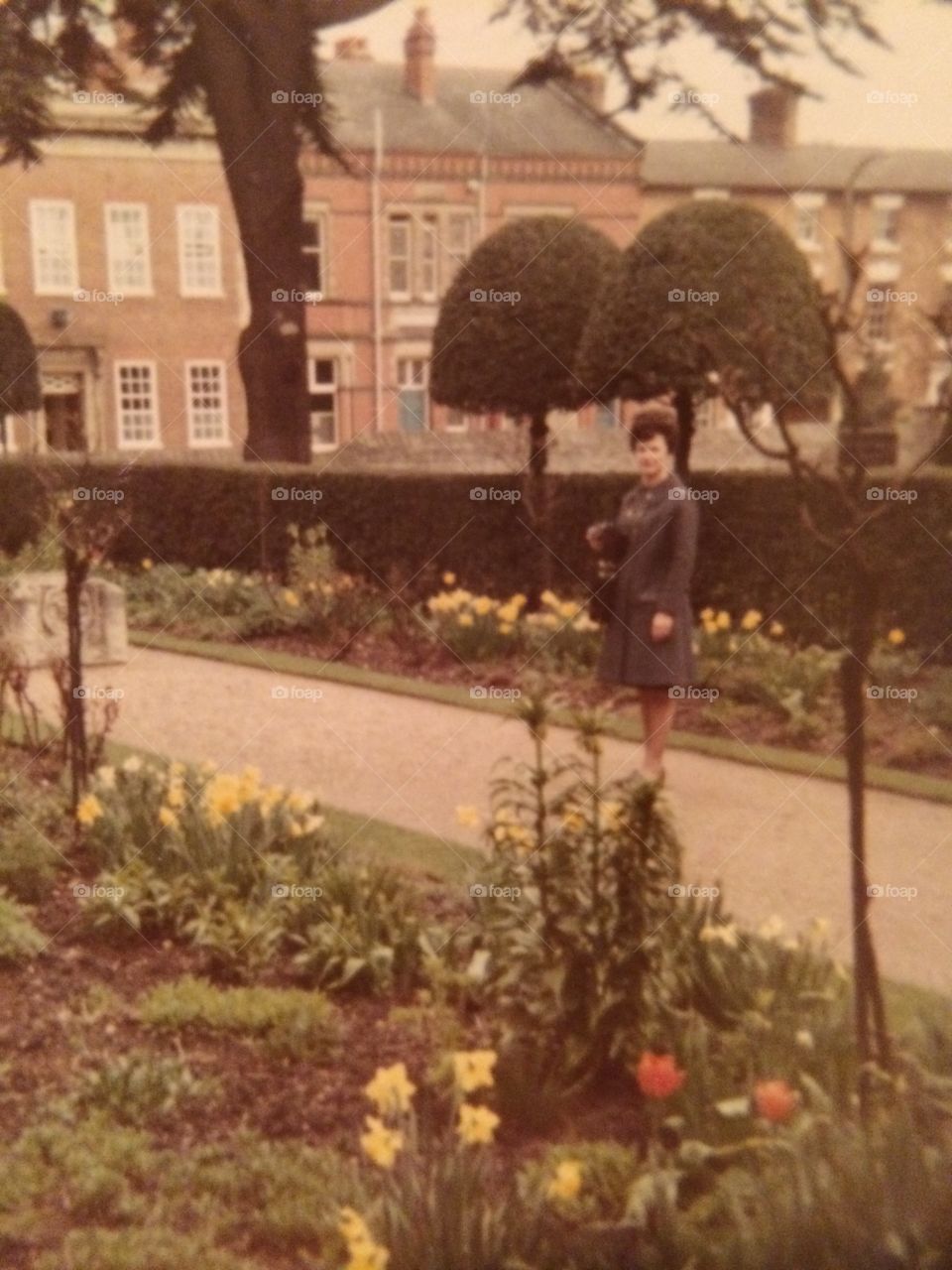 People, Tree, Outdoors, No Person, Flower