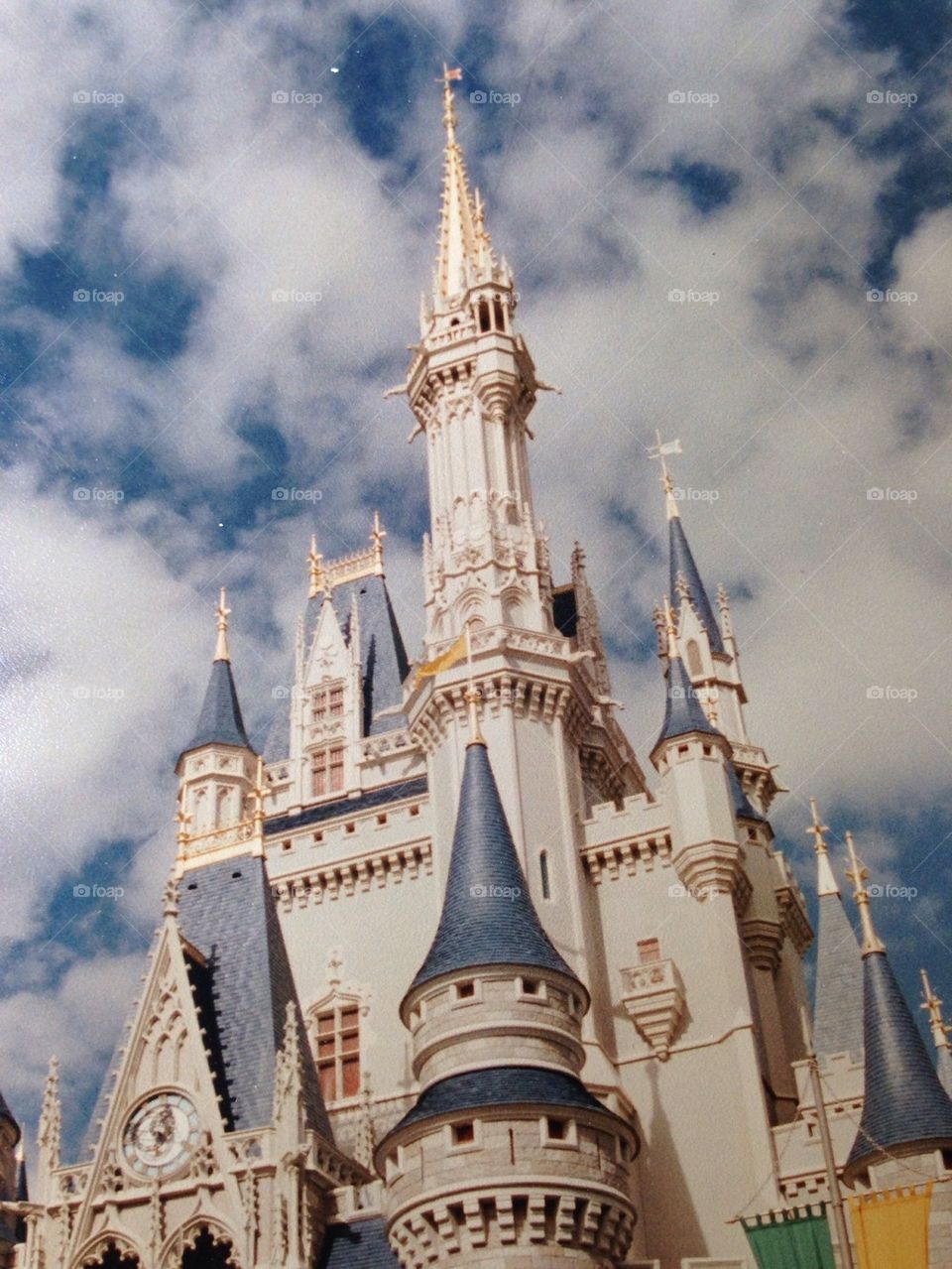 Disney world castle