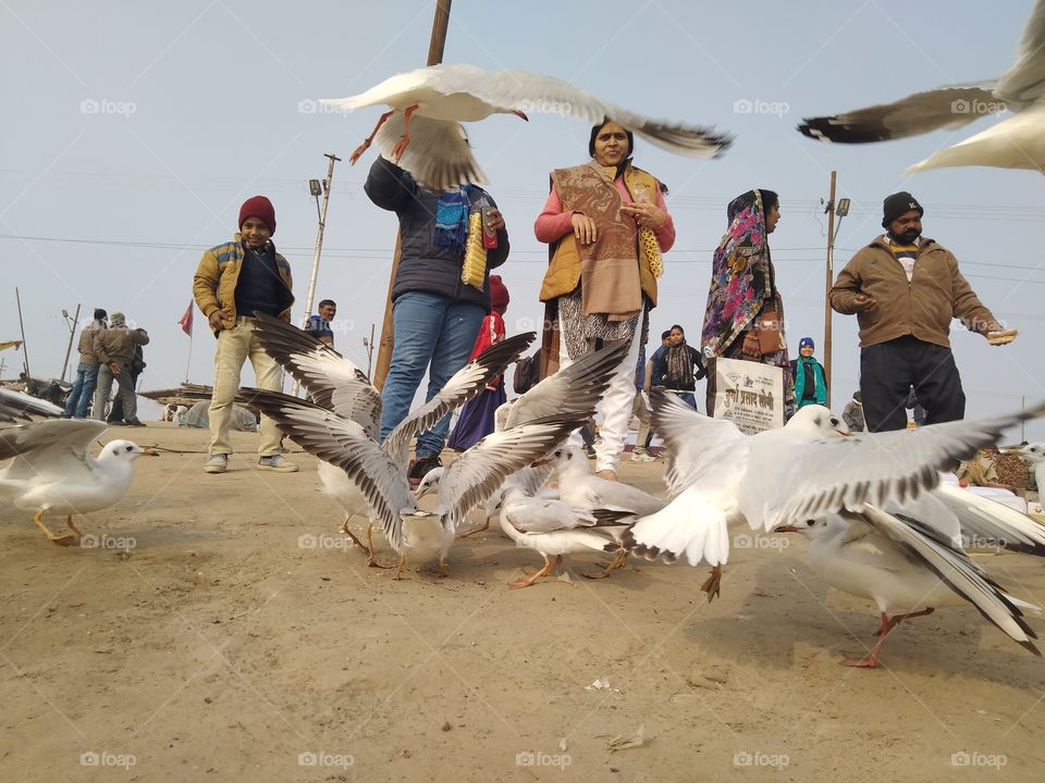 women feeding birds