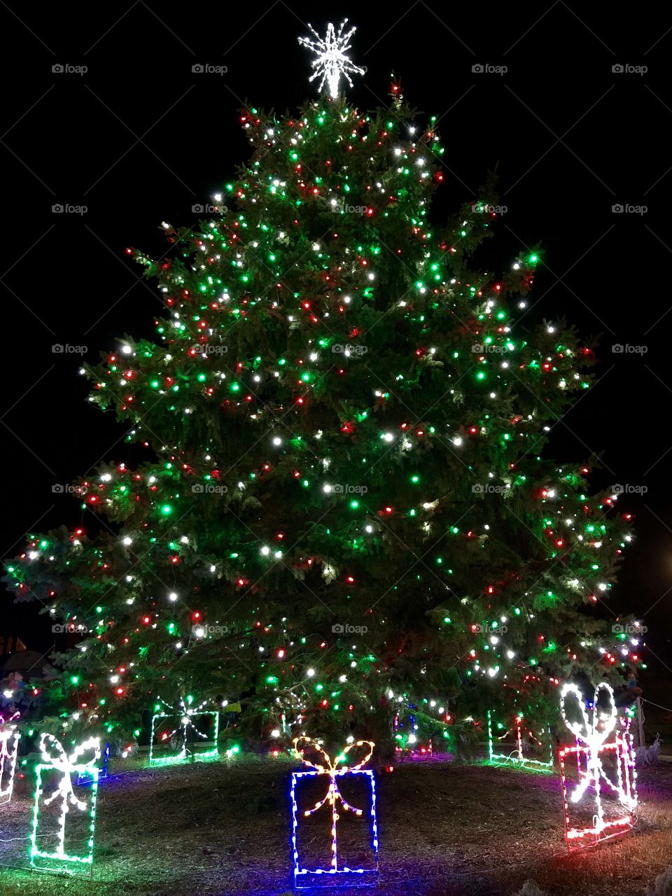 Giant Christmas tree