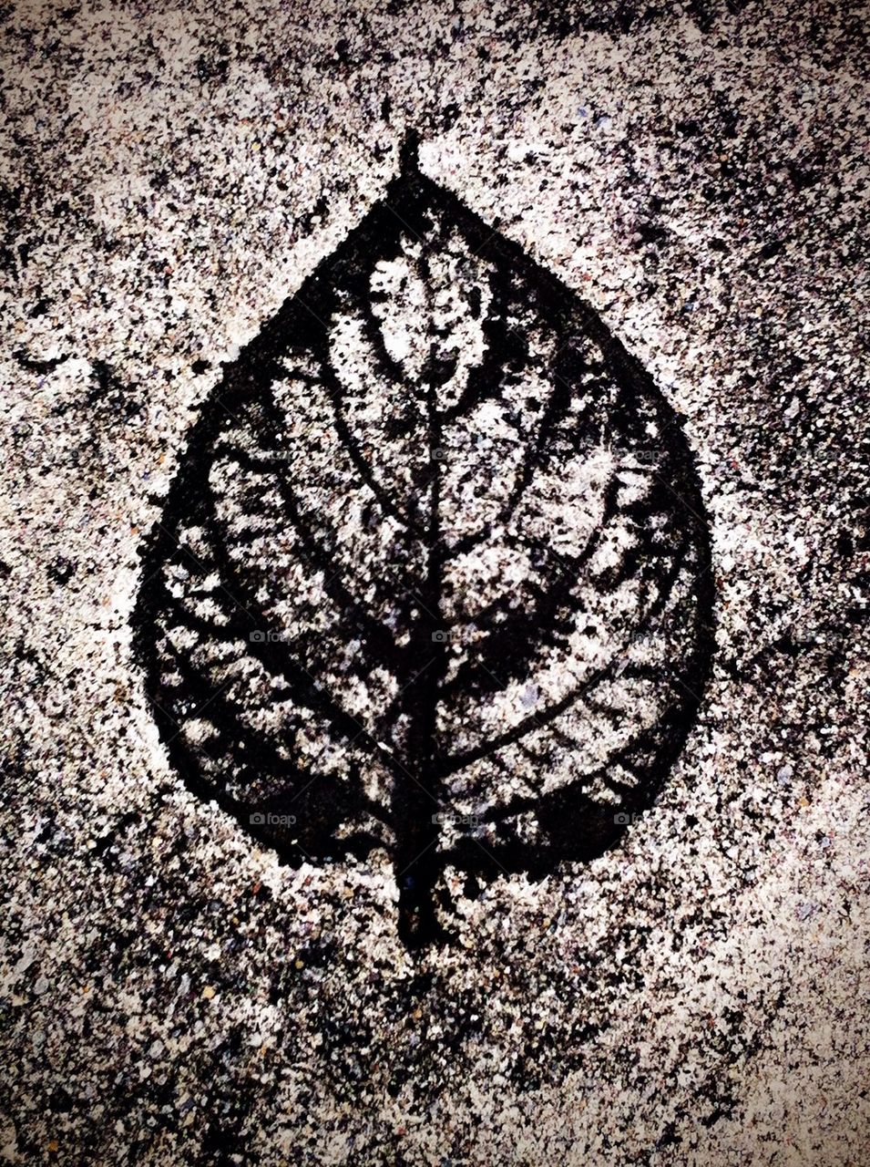 Leaf texture on cement