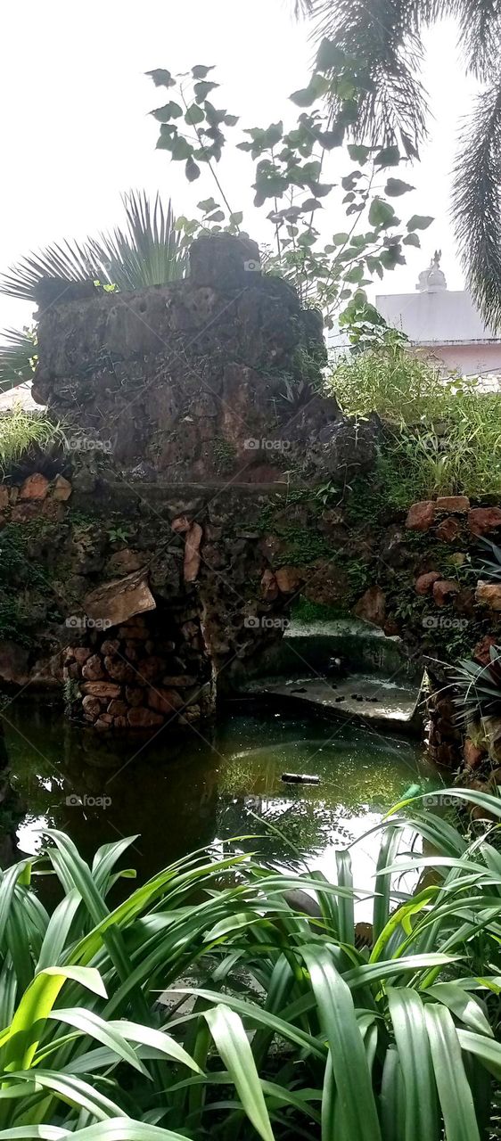 stone small bridge effect and bilt a statue water and long leaf looks nice