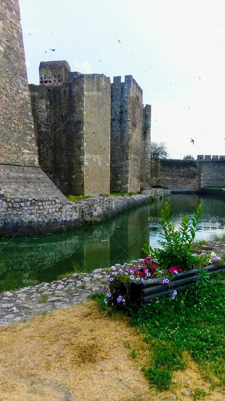 Fortress