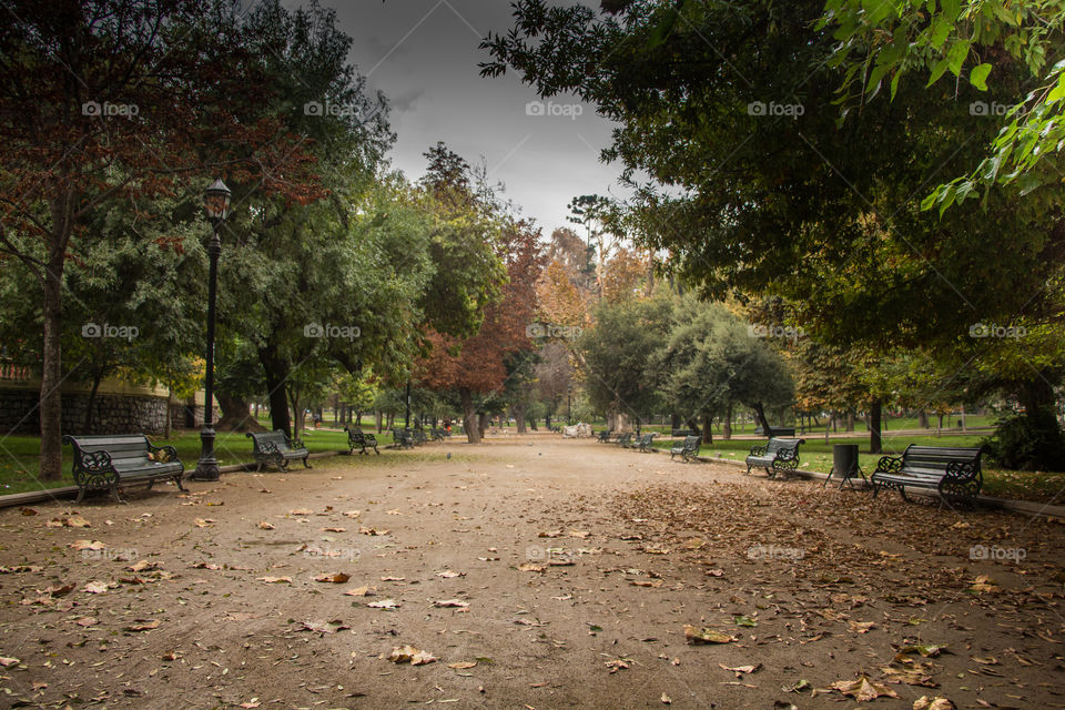 autumn in The park