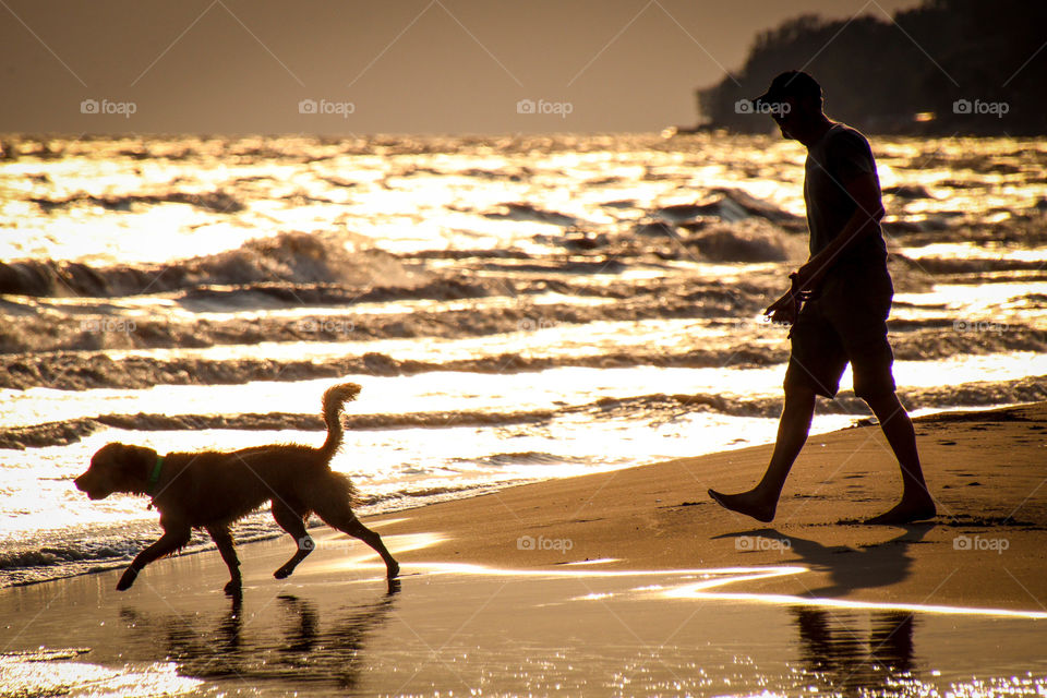 Man with a dog walking on a beach