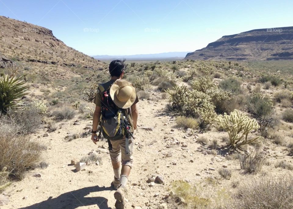 Long hiking trail in Mojave