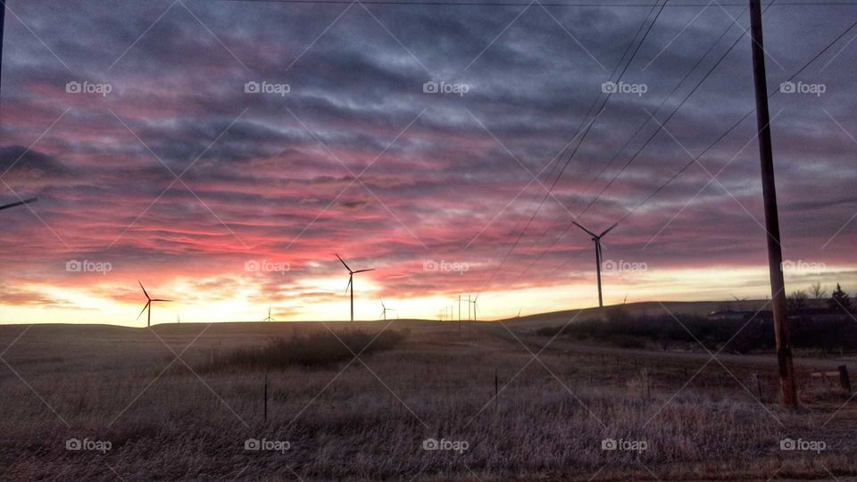 Morning on the Wind Farm