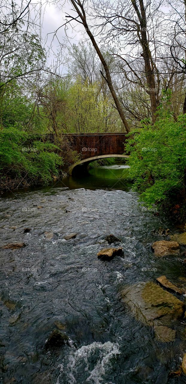 bridge over the river