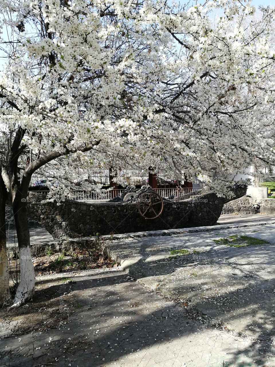 Весна в Ереване