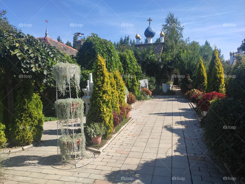 Nice garden summertime