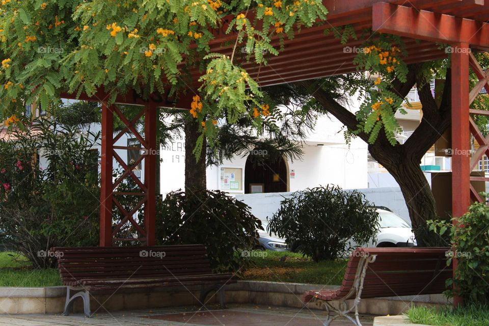 week relax photo garden