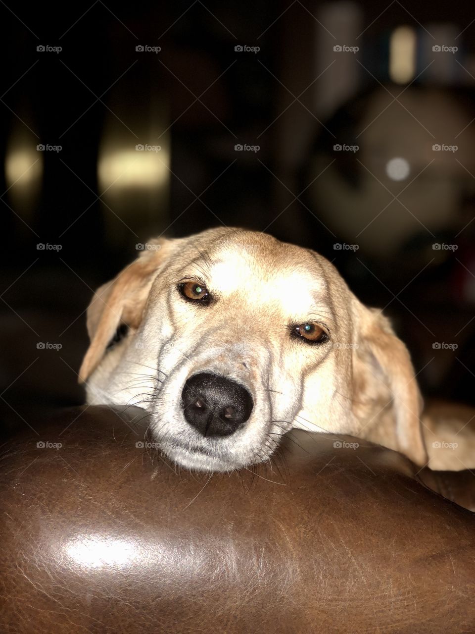 Totally disinterested at the moment 