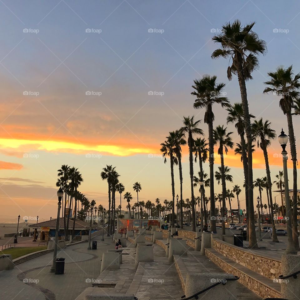 Light in nature creates the movement of colors