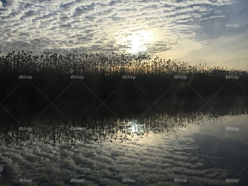 Cloud reflecting on lake