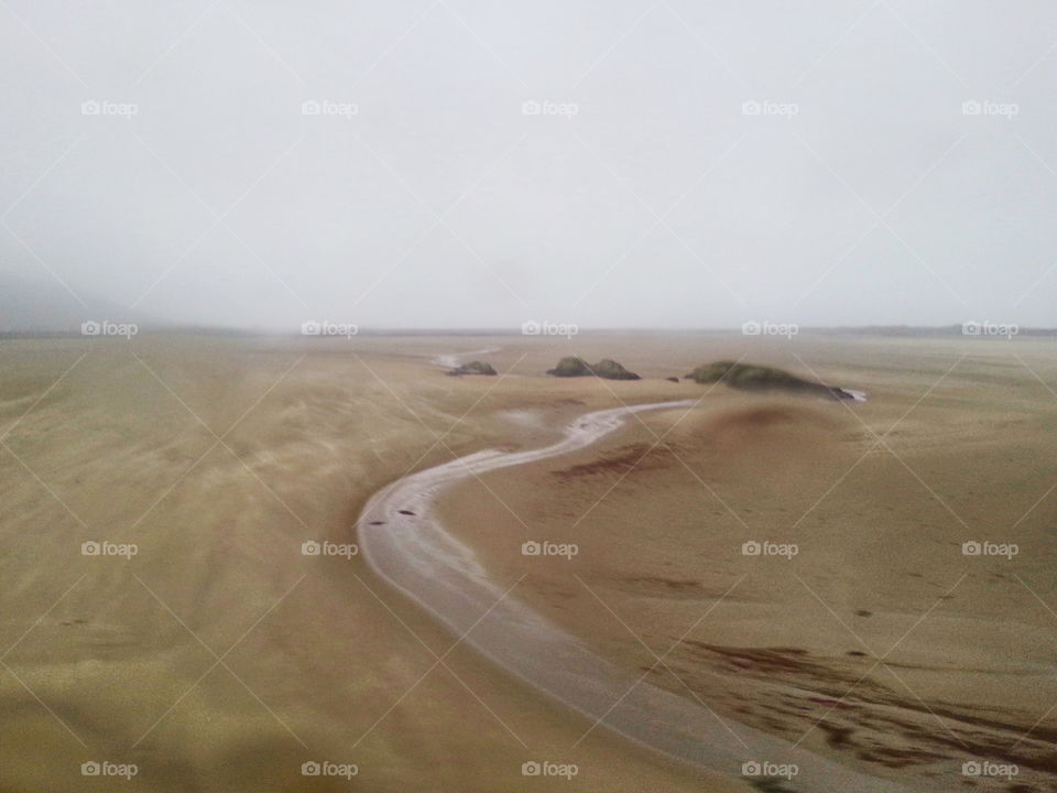 River estuary at low tide