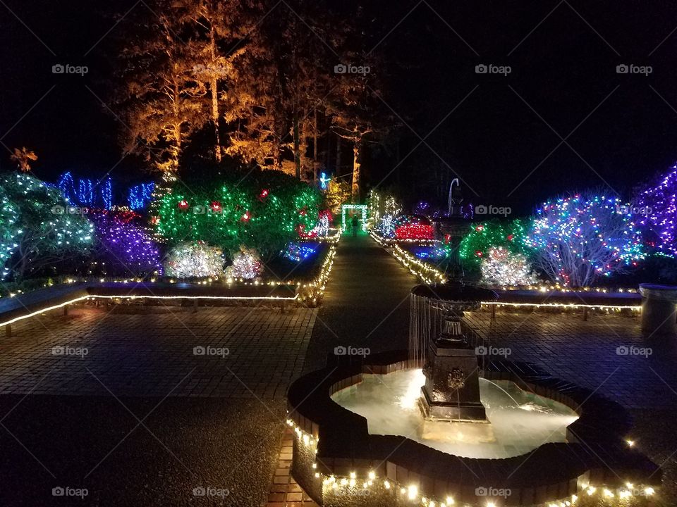 Holiday Christmas lights in Charleston Oregon