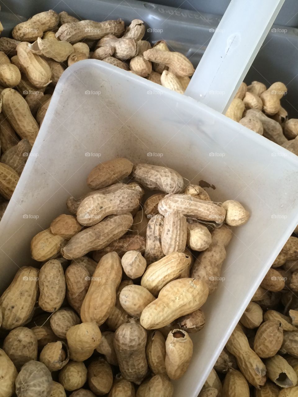 Peanuts for sale. 