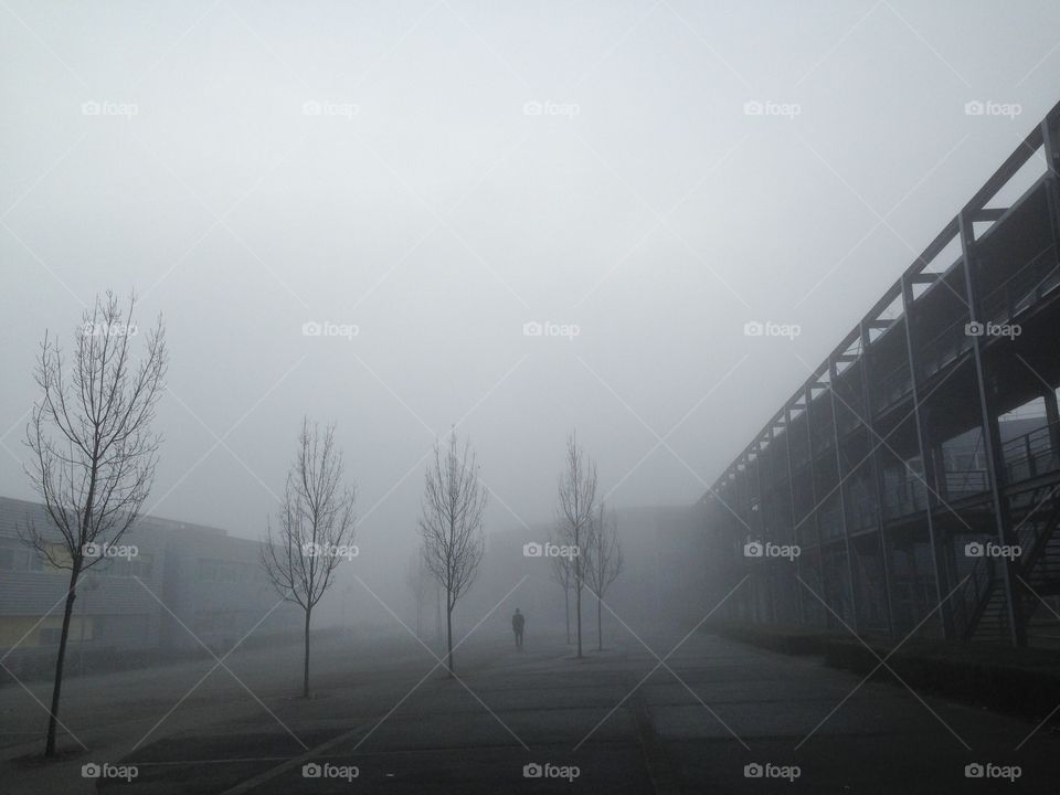 Alone through the fog...